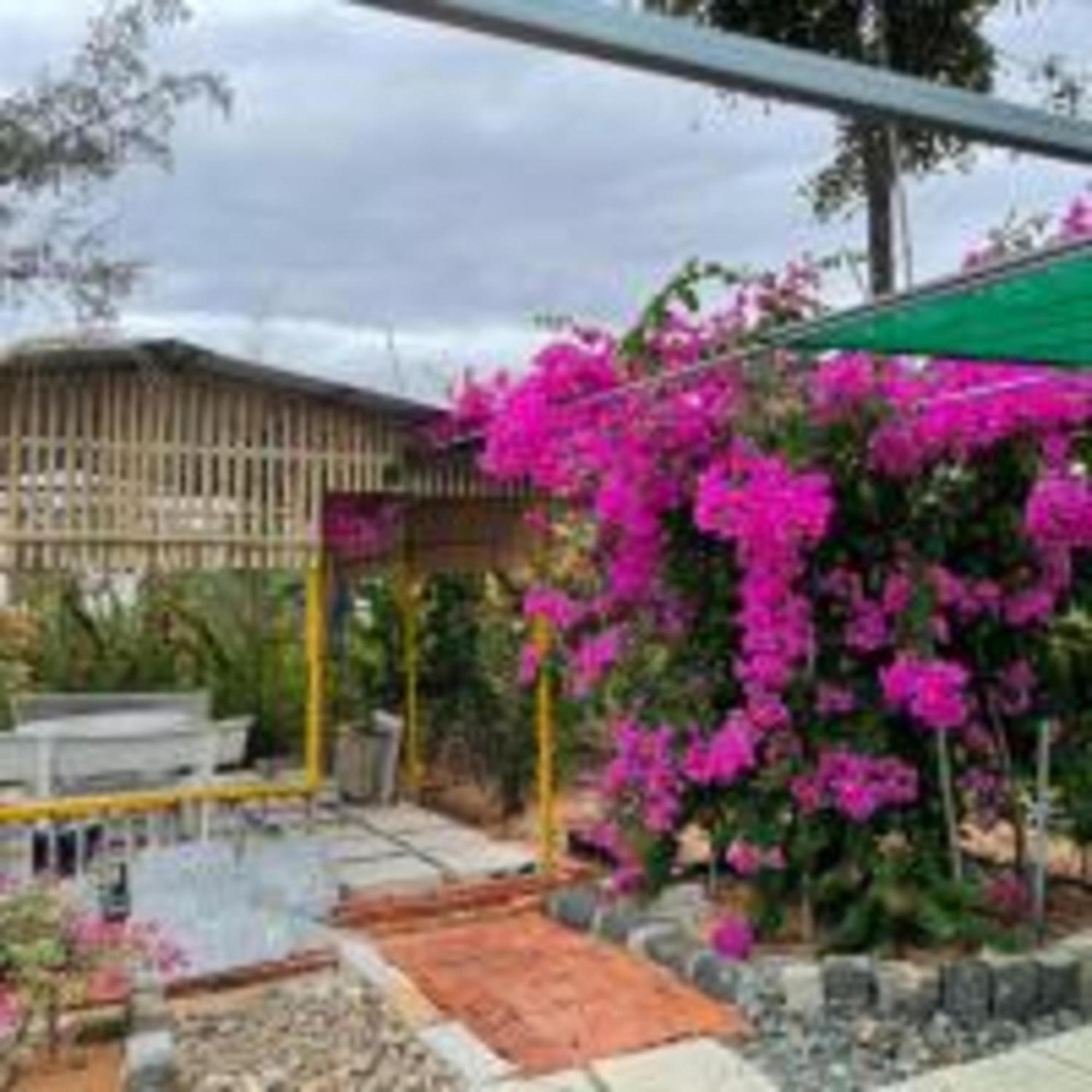 Duc Luu Quang Hotel Binh Thuan Tuy Phong Exterior foto