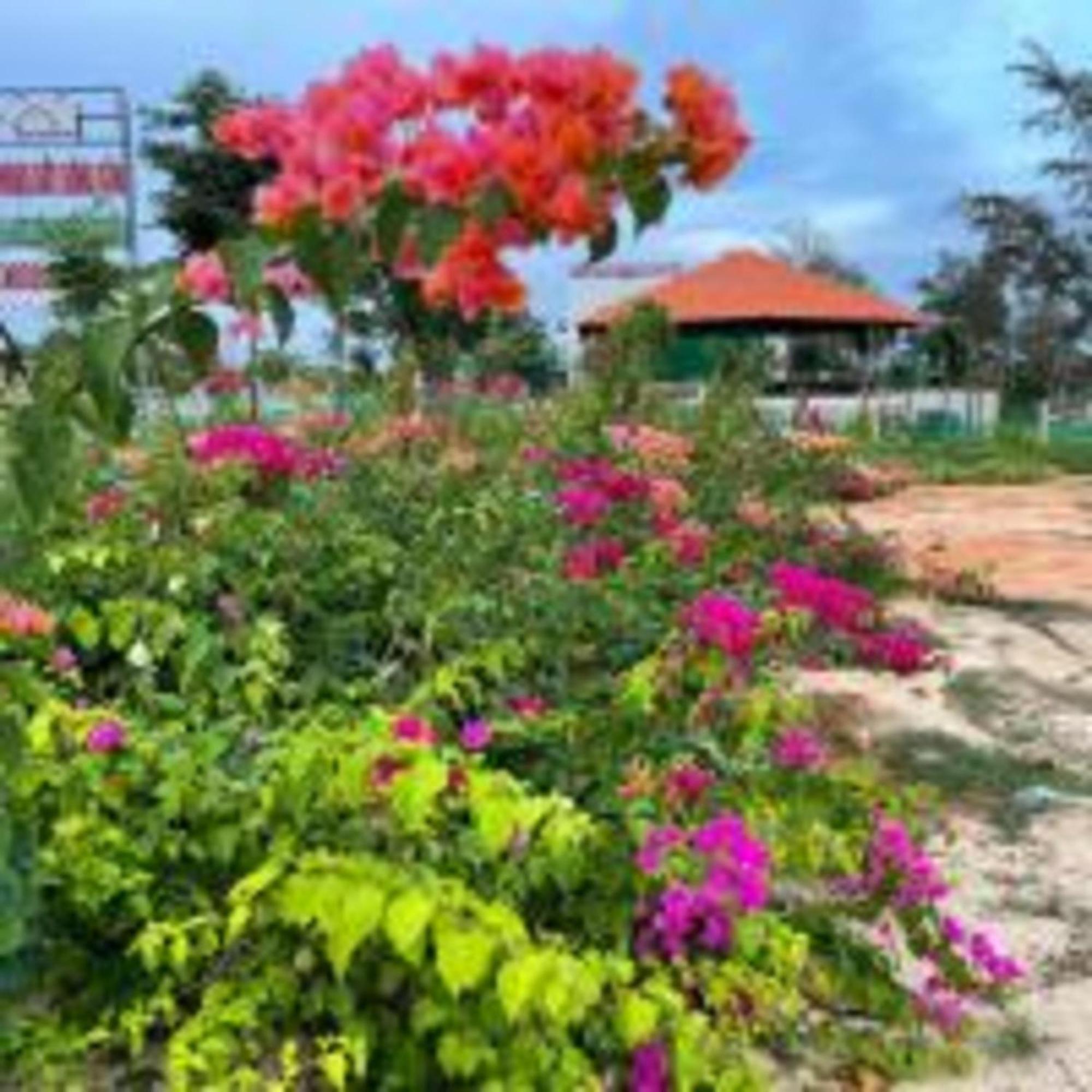 Duc Luu Quang Hotel Binh Thuan Tuy Phong Exterior foto