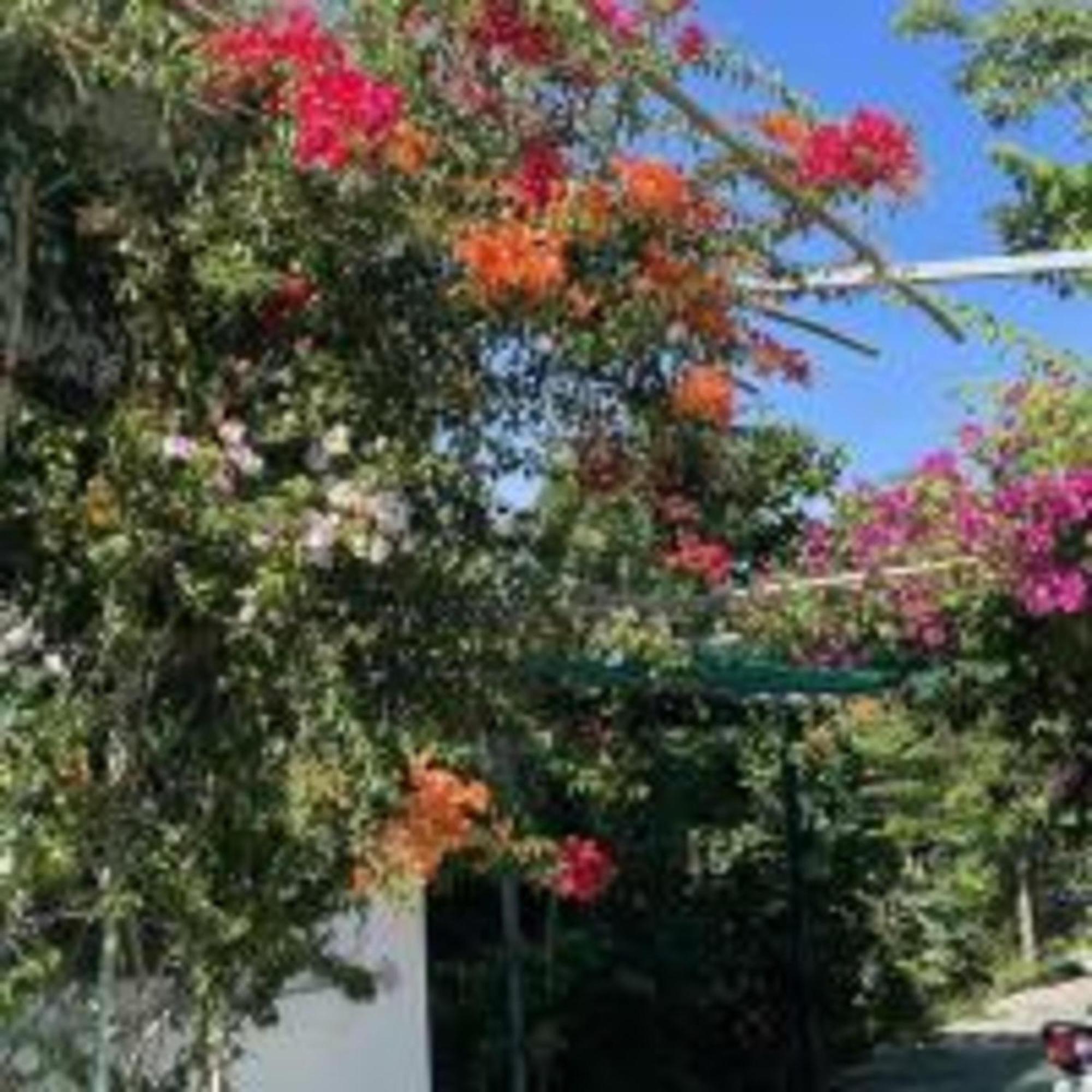 Duc Luu Quang Hotel Binh Thuan Tuy Phong Exterior foto